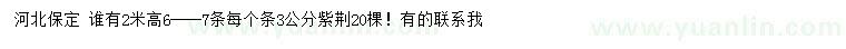 求購(gòu)高2米紫荊