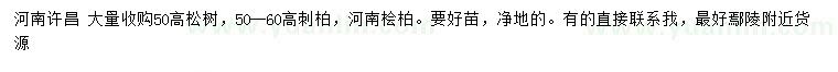 求購松樹、刺柏、河南檜柏