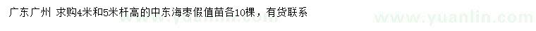 求購(gòu)桿高4、5米中東海棗