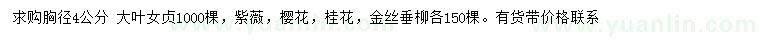 求購大葉女貞、紫薇、櫻花等