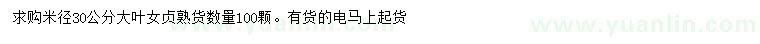 求購米徑30公分大葉女貞