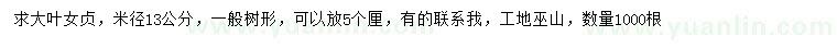 求購米徑13公分大葉女貞