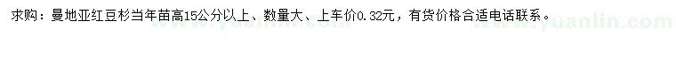 求購高15公分以上曼地亞紅豆杉
