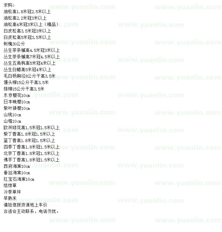 求購油松、白皮松、刺槐等