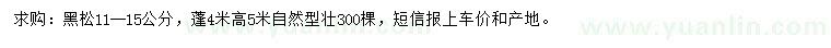 求購(gòu)11-15公分黑松