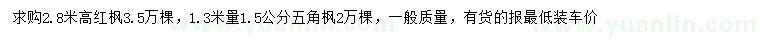 求購高2.8米紅楓、1.3米量1.5公分五角楓