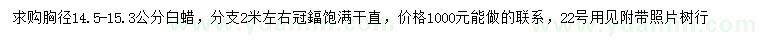 求購(gòu)胸徑14.5-15.3公分白蠟