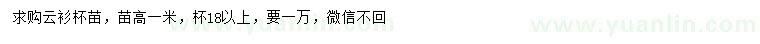 求購(gòu)苗高1米云衫