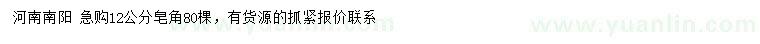 求購12公分皂角