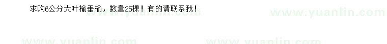 求購(gòu)6公分大葉榆垂榆