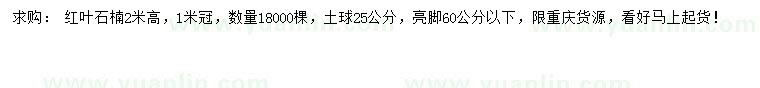 求購高2米紅葉石楠
