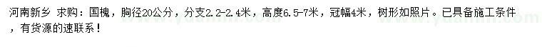 求購(gòu)胸徑20公分國(guó)槐