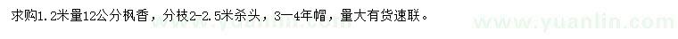 求購1.2米量12公分楓香