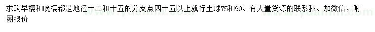 求購(gòu)地徑12、15公分早櫻、晚櫻