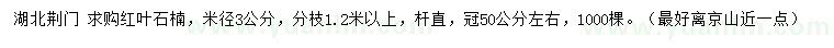 求購米徑3公分紅葉石楠