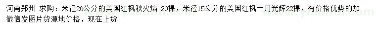 求購米徑20公分美國紅楓秋火焰、15公分美國紅楓十月光輝