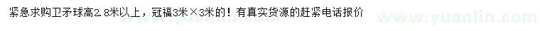 求購(gòu)高2.8米以上衛(wèi)矛球