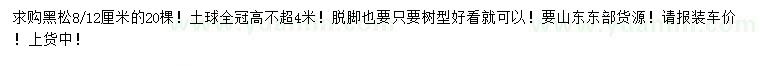 求購8、12公分黑松