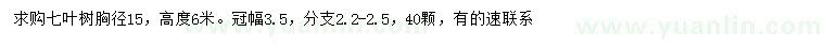 求購胸徑15公分七葉樹