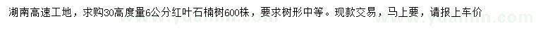 求購高度30公分量6公分紅葉石楠樹600株 