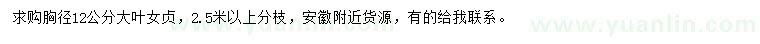 求購胸徑12公分大葉女貞