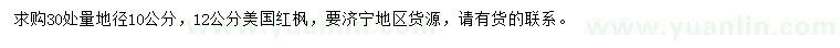 求購(gòu)30處量地徑10、12公分美國(guó)紅楓