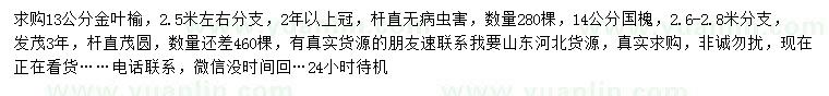求購13公分金葉榆、14公分國槐