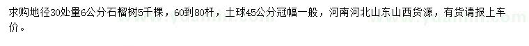 求購地徑30處量6公分石榴樹