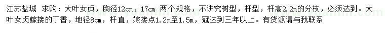 求購胸徑12、17公分大葉女貞、地徑8公分嫁接丁香