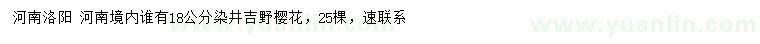 求購18公分染井吉野櫻花