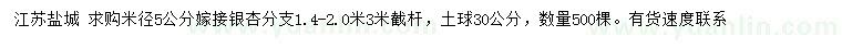 求購米徑5公分嫁接銀杏