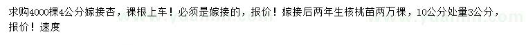 求購(gòu)4公分嫁接杏、10公分處量3公分核桃苗