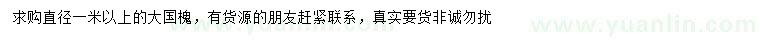 求購(gòu)直徑1米以上大國(guó)槐