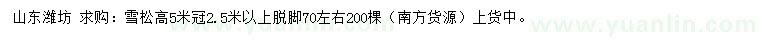 求購高5米雪松