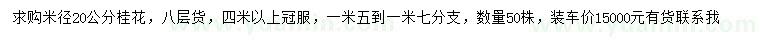 求購米徑20公分桂花