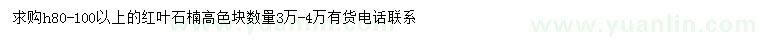 求購(gòu)高80-100公分以上紅葉石楠