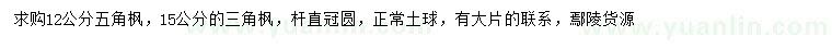 求購(gòu)12、15公分五角楓