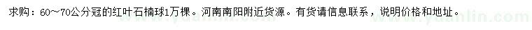 求購冠幅60-70公分紅葉石楠球