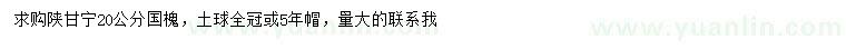 求購(gòu)20公分國(guó)槐
