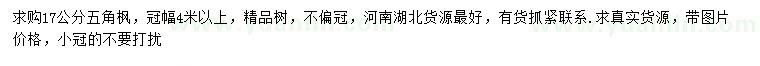求購17公分五角楓