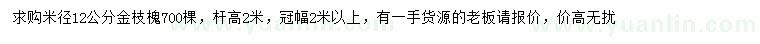 求購米徑12公分金枝槐
