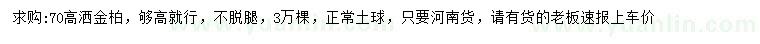 求購(gòu)高70公分灑金柏