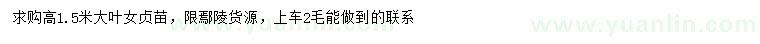 求購高1.5米大葉女貞苗