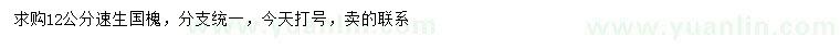 求購12公分速生國(guó)槐