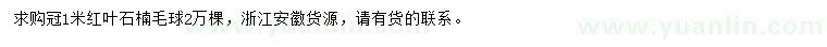 求購冠1米紅葉石楠毛球