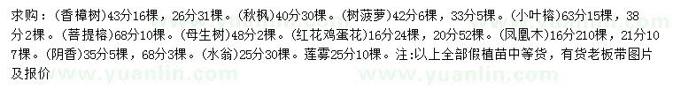 求購香樟、秋楓、樹菠蘿等