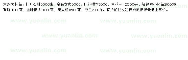 求購(gòu)紅葉石楠、金森女貞、紅花繼木等