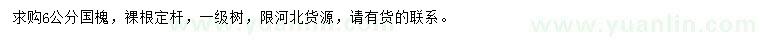 求購6公分國槐
