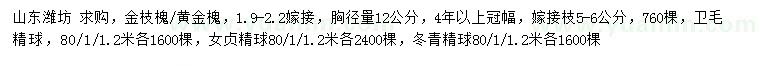 求購金枝槐、黃金槐、女貞精球等