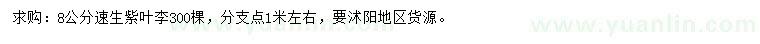 求購8公分速生紫葉李